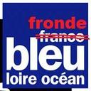 Fronde Bleu Loire Océan